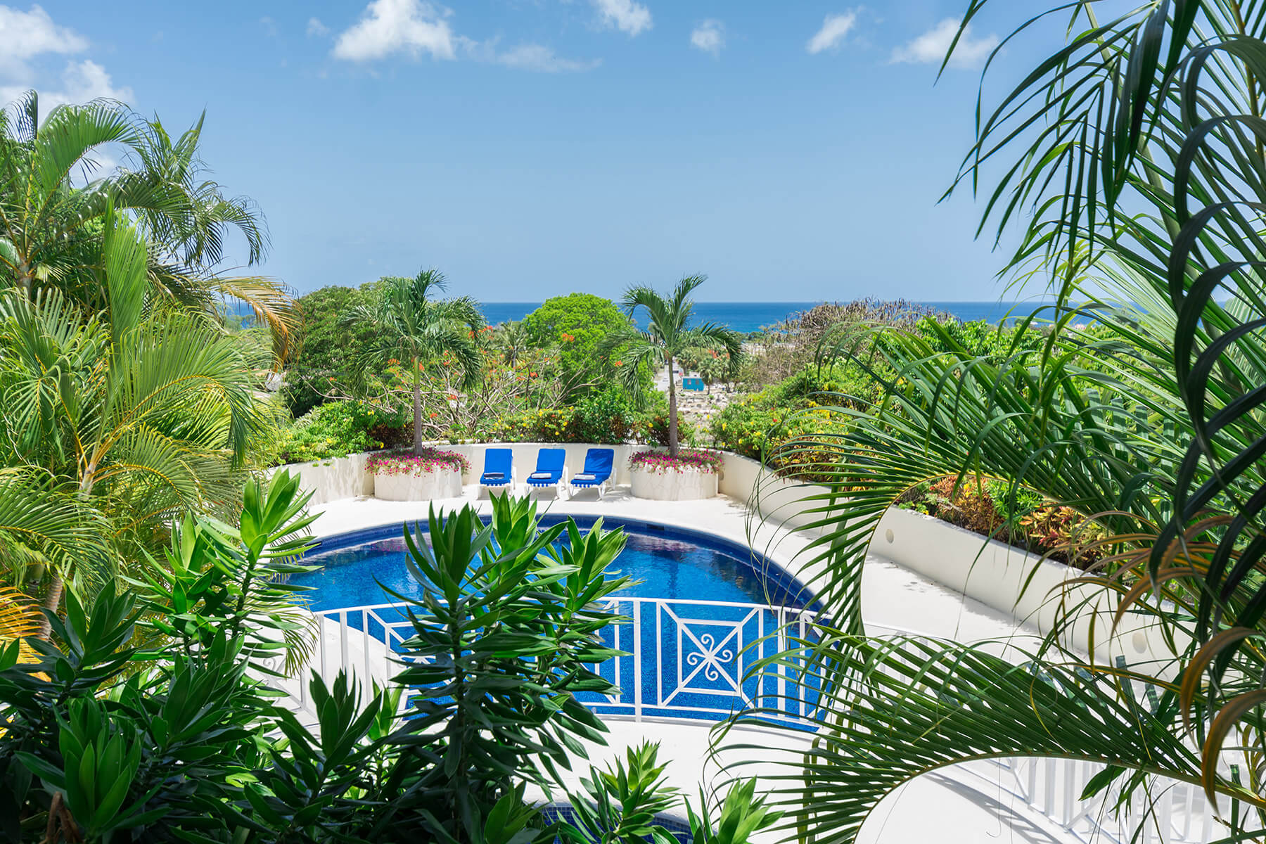 Monkeys Run at Sandy Lane Barbados pool and sea view