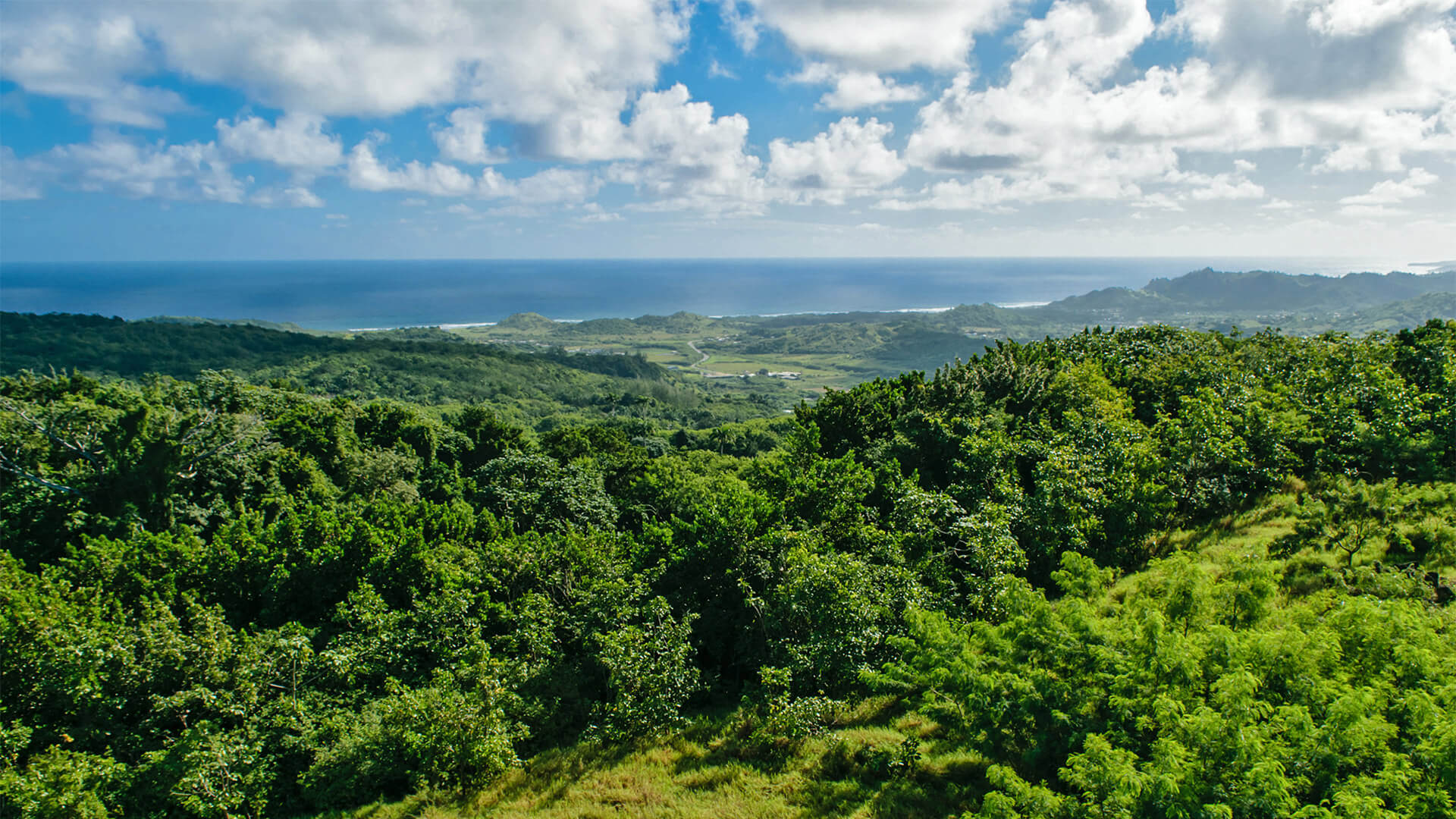 The View Barbados sweeping view of trees and sea