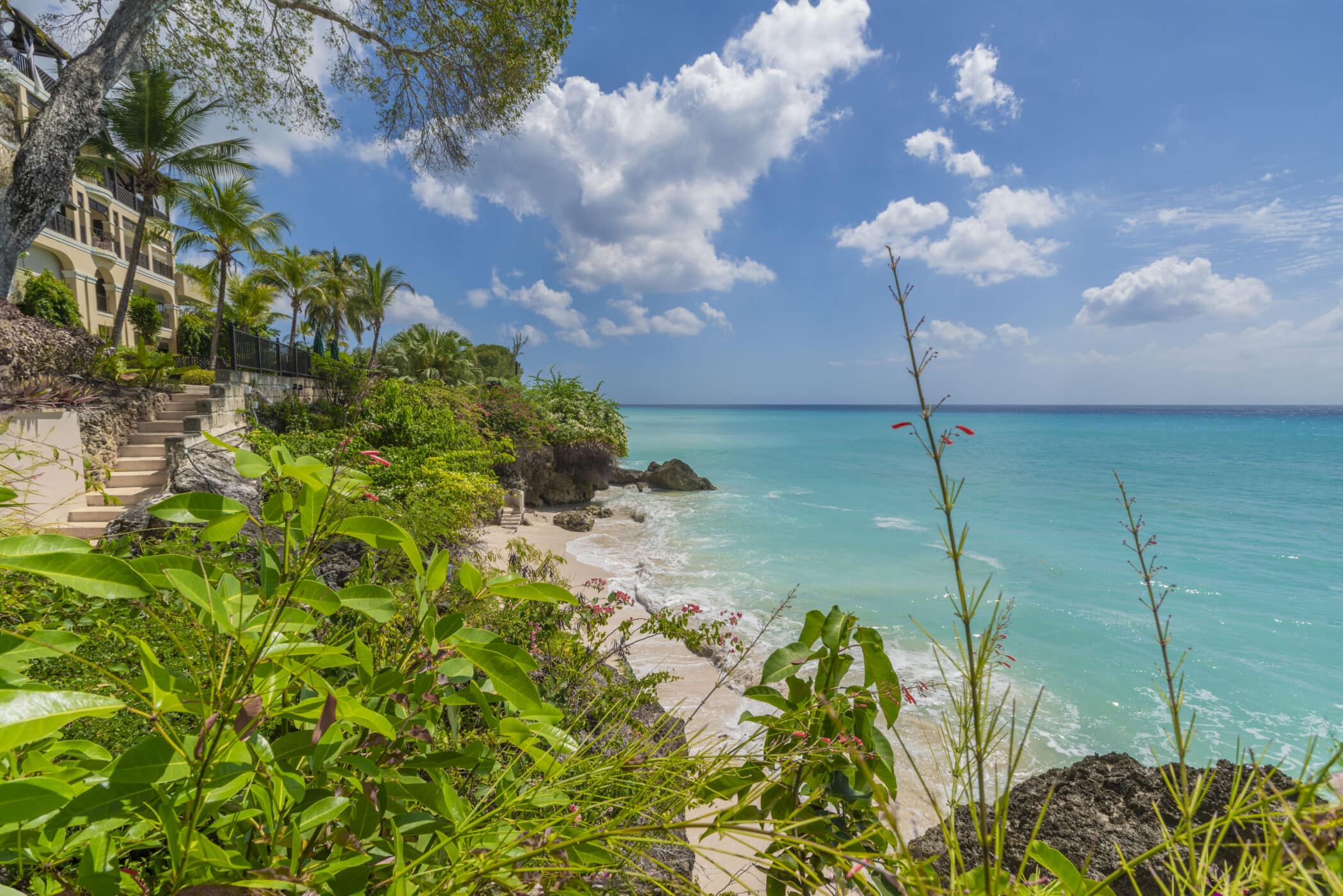 A tropical beach scene at Paradise 201 Sandy Cove with turquoise water, white sand, lush green plants, and palm trees under a bright blue sky. A building is partly visible on the left side.